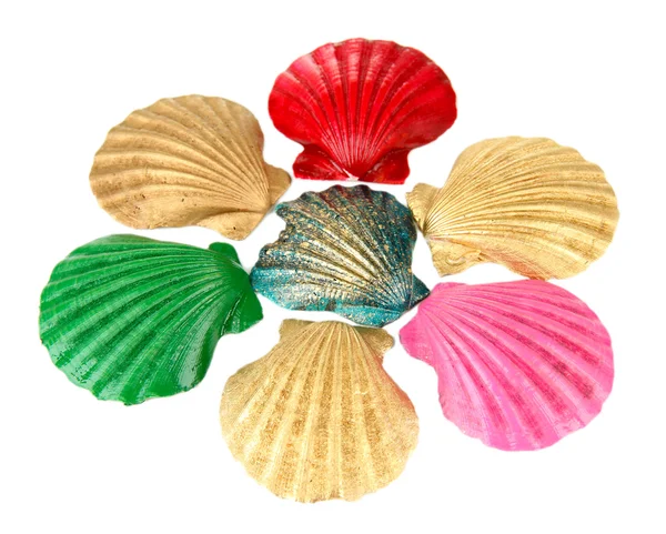 Colorful seashells, isolated on white — Stock Photo, Image