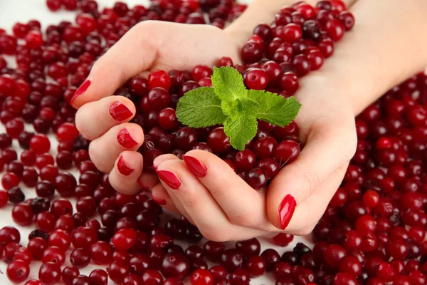 Woman hands holding ripe red cranberries, close u — Stock Photo, Image