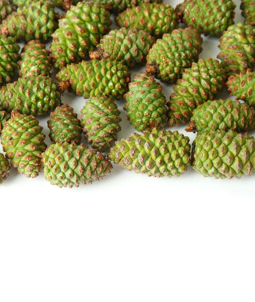 Green pine cones isolated on white — Stock Photo, Image