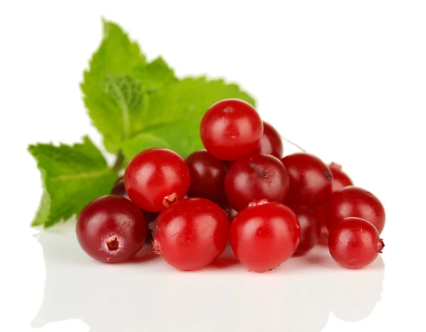 Cranberry merah matang, terisolasi pada whit — Stok Foto