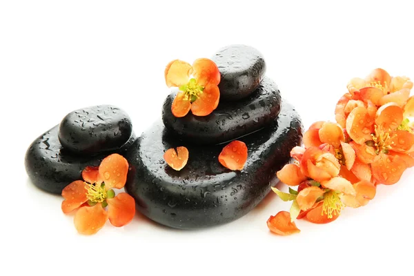 Piedras de spa y flores aisladas en blanco —  Fotos de Stock