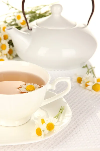 Cup of herbal tea with camomiles close up — Stock Photo, Image