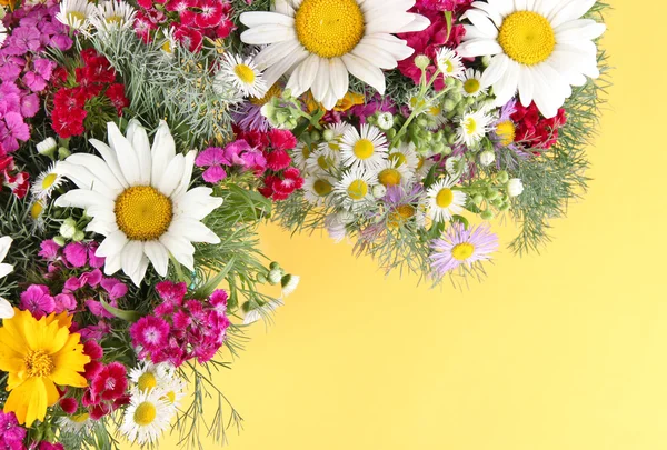 Mooie heldere bloemen op gele achtergrond — Stockfoto