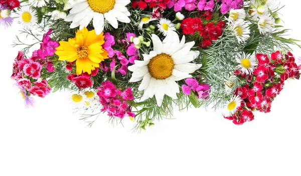 Beyaz zemin üzerinde güzel parlak çiçekler — Stok fotoğraf