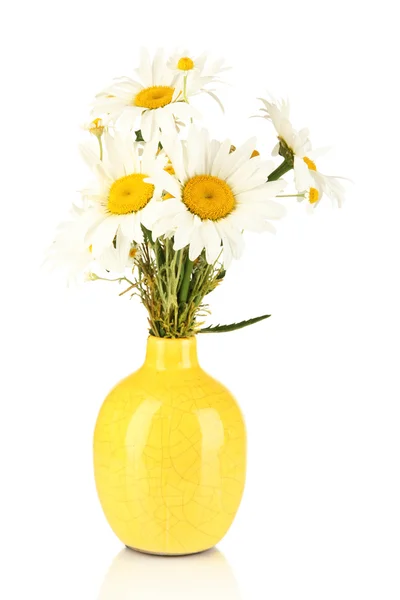 Mooi boeket chamomiles in vaas geïsoleerd op wit — Stockfoto