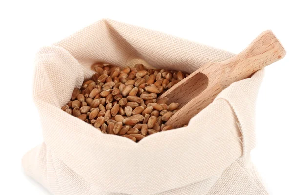 白で隔離される袋の穀物 — ストック写真