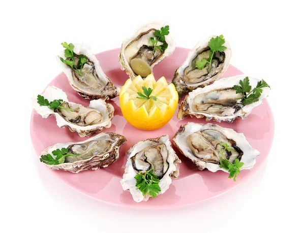 Oesters geïsoleerd op wit — Stockfoto