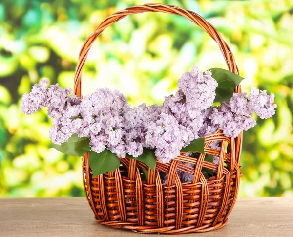 Beautiful lilac flowers on table on bright background — Stock Photo, Image