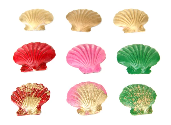 Conchas coloridas, isoladas sobre branco — Fotografia de Stock