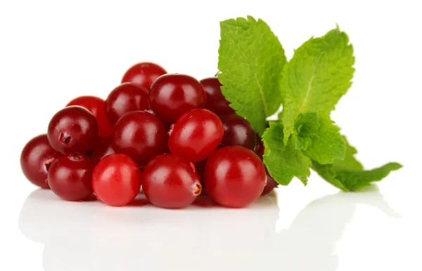 Ripe red cranberries, isolated on whit — Stock Photo, Image