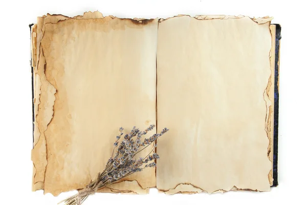 Öppna gammal bok och lavander isolerad på vit — Stockfoto