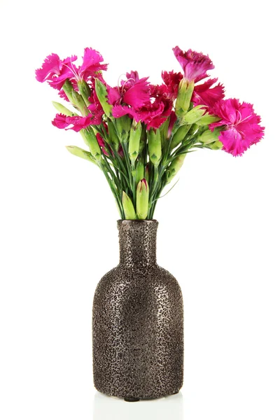 Bouquet of carnations in vase, isolated on white — Stock Photo, Image