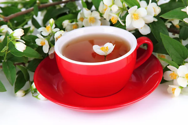 Taza de té con jazmín, aislado sobre blanco —  Fotos de Stock