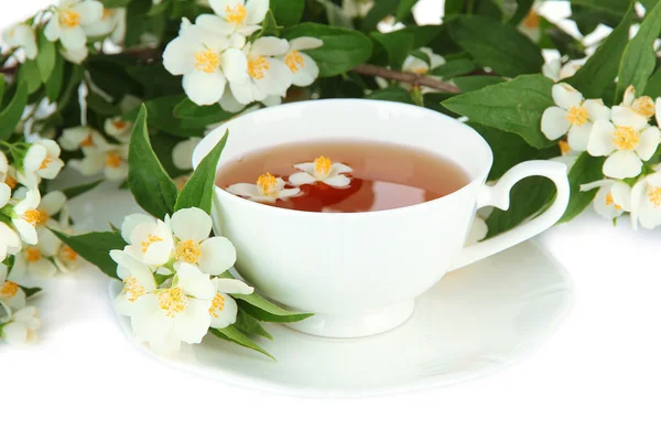 喝杯茶与茉莉花，白色上孤立 — 图库照片