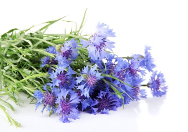 güzel beyaz izole Peygamber, buket