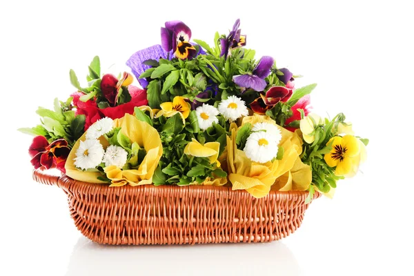 Hermosas flores de primavera en cesta aislada en blanco —  Fotos de Stock