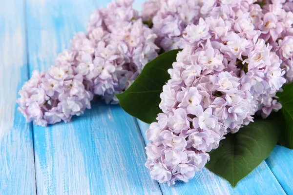 Schöne fliederfarbene Blumen auf dem Tisch in Großaufnahme — Stockfoto