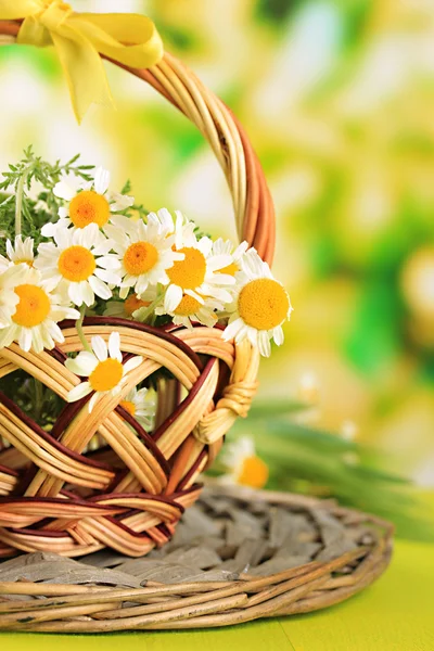 Wild camomiles and spikelets in basket, on green background — Stock Photo, Image