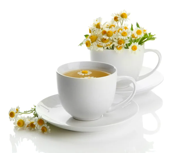 Cups of herbal tea and wild camomiles, isolated on white — Stock Photo, Image