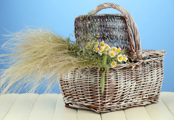 Bouquet de fleurs sauvages et d'herbes, dans un panier en osier, sur fond de couleur — Photo