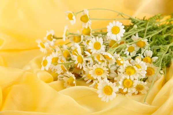 Many chamomile on yellow cloth background — Stock Photo, Image