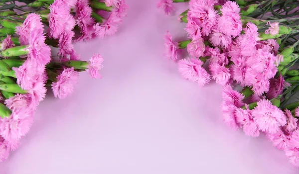 Wiele małych ząbków różowy na białym tle — Zdjęcie stockowe