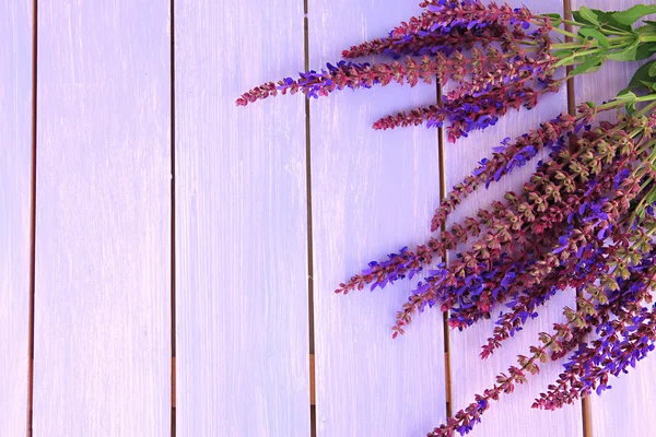 Salvia fiori su sfondo di legno viola — Foto Stock
