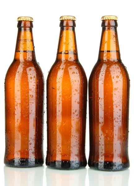 Botellas de cerveza aisladas en blanco —  Fotos de Stock