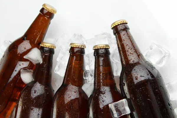 Beer bottles in ice cubes close up