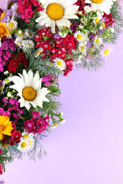 Красивые яркие цветы на фиолетовом фоне — стоковое фото