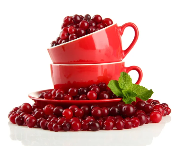 Стиглі червоні журавлини в чашках, ізольовані на білому — стокове фото