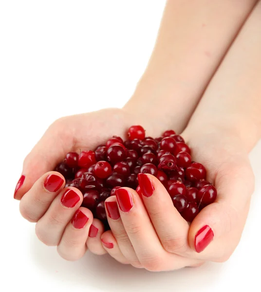 Mãos de mulher segurando cranberries vermelhas maduras, isolado no whit — Fotografia de Stock