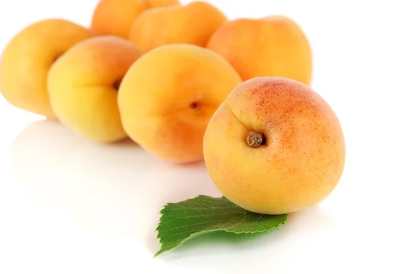 Aprikosen isoliert auf weiß — Stockfoto