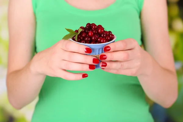 Woman hands holding bowl of ripe red cranberries, close u — Stock Photo, Image