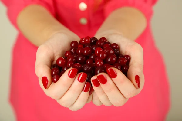 Woman hands holding ripe red cranberries, close u — Stock Photo, Image