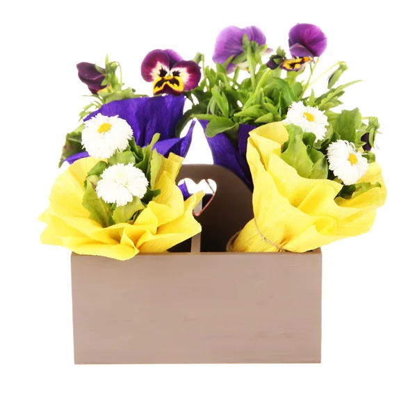 美しい春の花の白で隔離される木製の箱 — ストック写真
