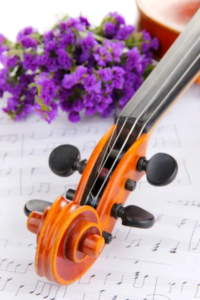 Classical violin with flowers on notes — Stock Photo, Image