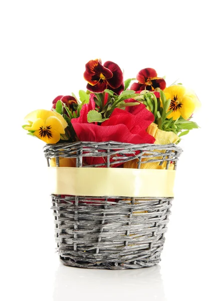 Beautiful pansies in basket isolated on white — Stock Photo, Image