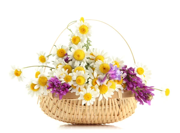 Цветы в корзине, изолированные на белом — стоковое фото