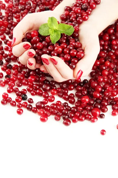 Mãos de mulher segurando cranberries vermelhas maduras, isolado no whit — Fotografia de Stock