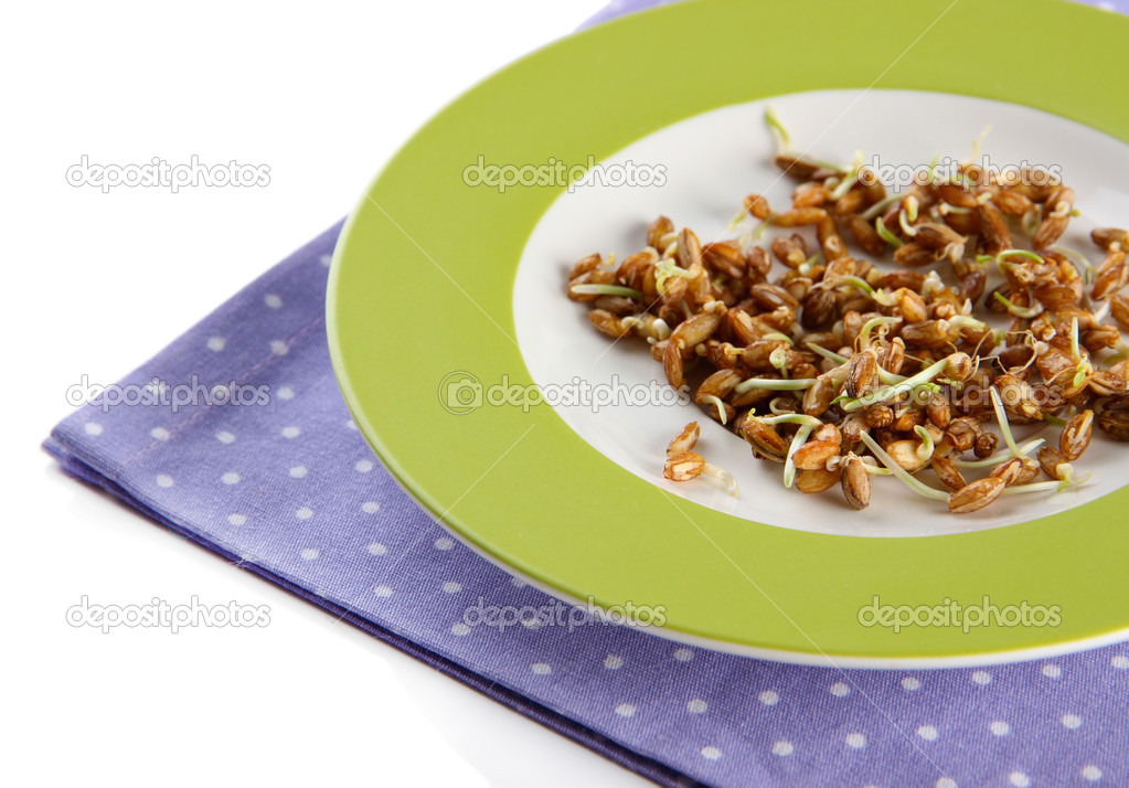 Wheat germs on plate isolated on white