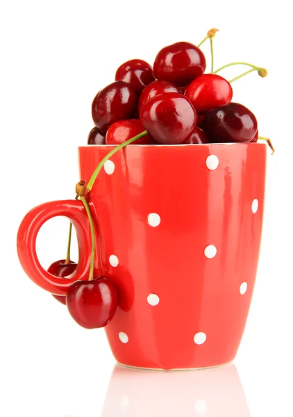 Bagas de cereja vermelhas maduras em xícara isoladas em branco — Fotografia de Stock