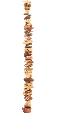 kurutulmuş mantar beyaz izole katarı