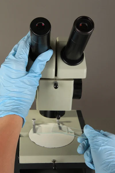 Científico trabajando en laboratorio sobre fondo gris — Foto de Stock