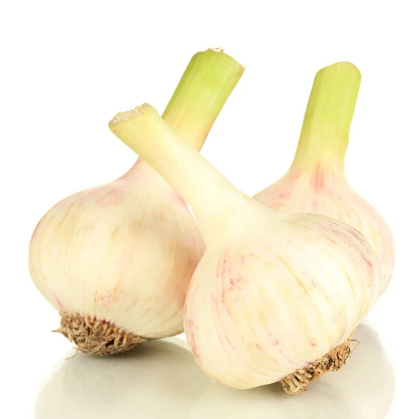 Garlic isolated on white — Stock Photo, Image