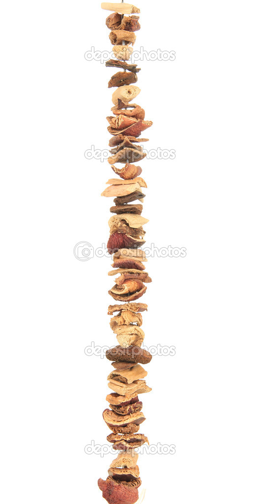 Dried mushrooms on string isolated on white