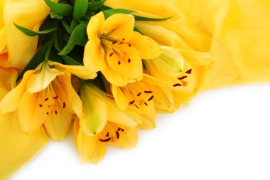 güzel turuncu lilyum, beyaz izole