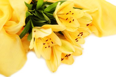 güzel turuncu lilyum, beyaz izole