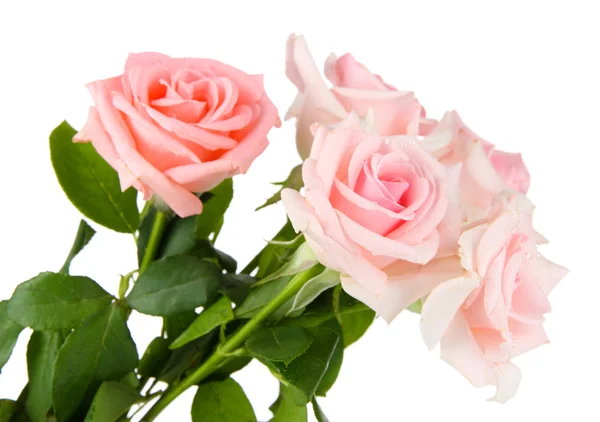 Beau bouquet de roses isolé sur blanc — Photo
