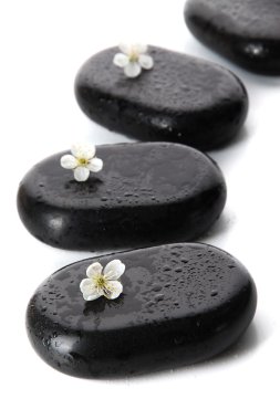 Spa taşlar ve beyaz çiçekler üzerinde beyaz izole